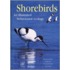 Shorebirds