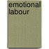 Emotional Labour