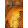 Energizing China door Michael B. McElroy