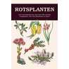 Rotsplanten door P. Vasek