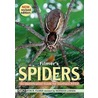 Filmer's Spiders by Norman Larsen