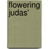 Flowering Judas'