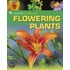 Flowering Plants