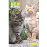 Katten Agenda