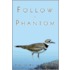 Follow A Phantom