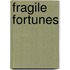 Fragile Fortunes