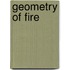Geometry of Fire