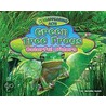 Green Tree Frogs by Natalie Lunis