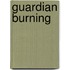 Guardian Burning