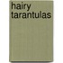 Hairy Tarantulas