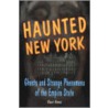 Haunted New York by Cheri Revai