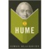 How to Read Hume