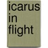 Icarus in Flight