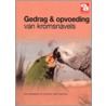 Gedrag & opvoeding van kromsnavels