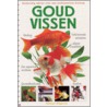 Goudvissen by Nick Fletcher