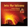 Into the Volcano door Donna O'Meara