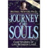 Journey of Souls door Victor Talmadge