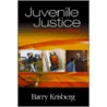 Juvenile Justice door Barry Krisberg