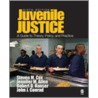 Juvenile Justice door Steven M. Cox