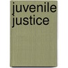 Juvenile Justice door Robert W. Drowns