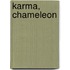 Karma, Chameleon