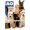 Geleidehonden door P. Steltman