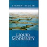 Liquid Modernity door Zygmunt Bauman