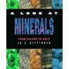 Look at Minerals by Jo S. Kittinger