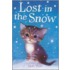 Lost In The Snow