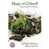 Magic at Oakwell