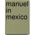 Manuel In Mexico