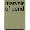 Marvels Of Pond by Henry James Slack