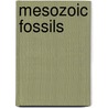 Mesozoic Fossils by Bruce L. Stinchcomb