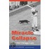 Miracle Collapse