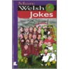 More Welsh Jokes door Dilwyn Phillips