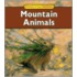 Mountain Animals