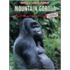 Mountain Gorilla