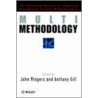 Multimethodology door John Mingers