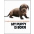 My Puppy Is Born