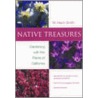 Native Treasures by Nevin Smith
