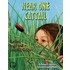 Near One Cattail