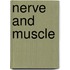Nerve And Muscle