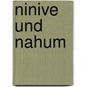 Ninive Und Nahum door Breiteneicher Michael