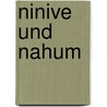 Ninive Und Nahum door Michael Breiteneicher