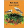 Not Here P (com) by Brian Wildsmith