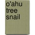 O'Ahu Tree Snail