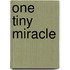One Tiny Miracle