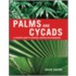 Palms And Cycads