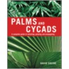 Palms And Cycads door David Squire
