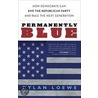 Permanently Blue door Dylan Loewe